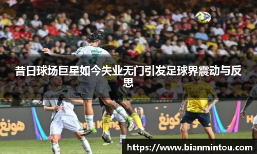 昔日球场巨星如今失业无门引发足球界震动与反思