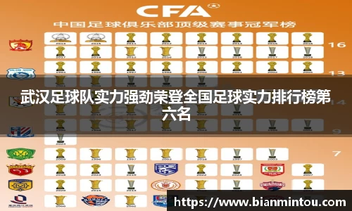 武汉足球队实力强劲荣登全国足球实力排行榜第六名